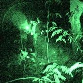 Watch Destination Truth Online Season 4 2010 Tv Guide