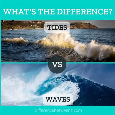 Wave Motion Waves And Tides