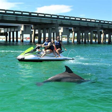 Waverunner Dolphin Excursion Departing From Harborwalk Village Tripshock