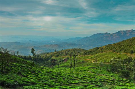 5 Ways Wayanad