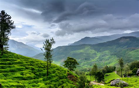 Wayanad