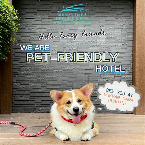 We Can Amp 39 T Wait To Welcome Your Furry Friends For Their Pawfect Staycation