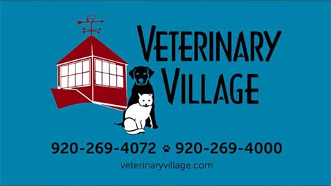 Welcome To Veterinary Village Youtube