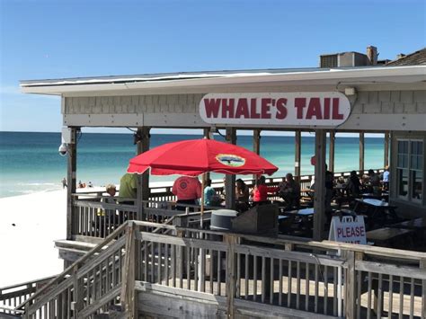 Whale Tail Destin FL Sights