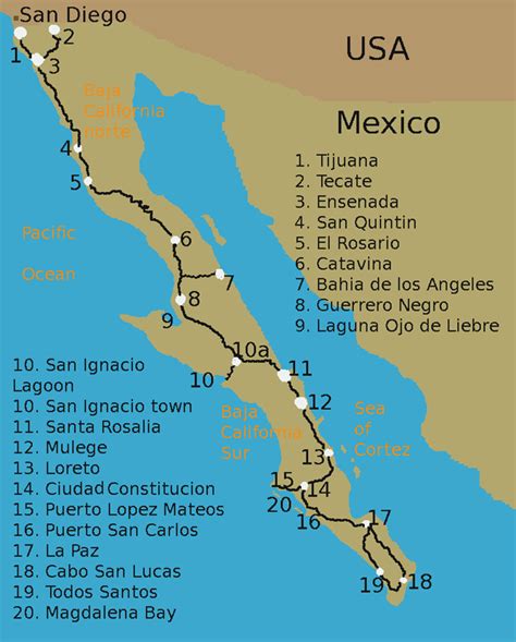 Whale Watching Map Baja Mexico Dive Discovery Baja California