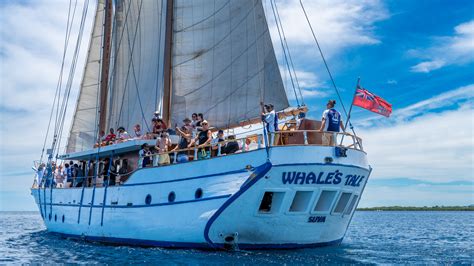 Whales Tale Cruise Discover Fiji