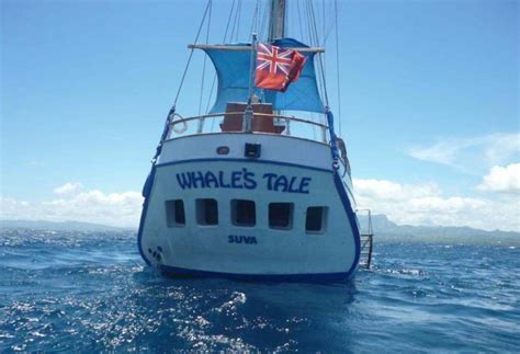 Whales Tale Day Trip To A Private Island Discounted