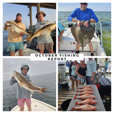 What Amp 39 S Biting Right Now In Destin 8 Species You Can Catch In October