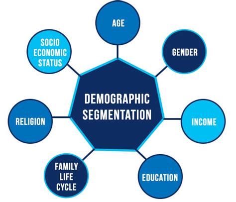 What Are Demographic Examples Questionpro