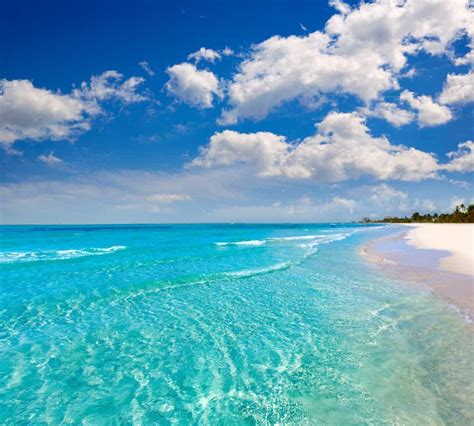 What Are The Best Beaches In Florida The Us Sun