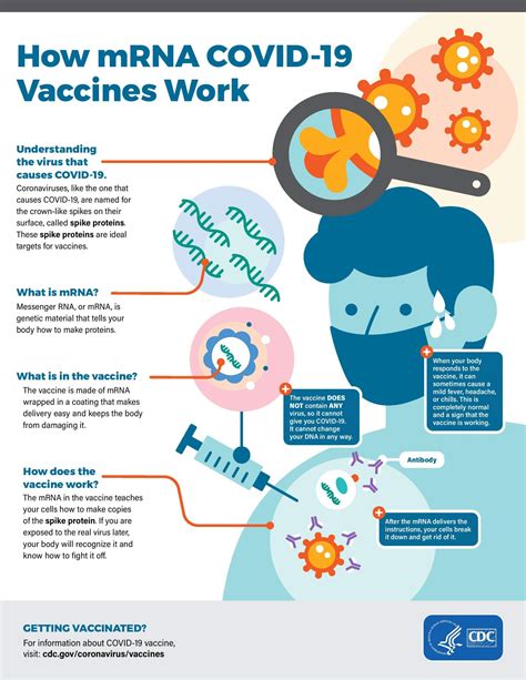 What Do I Need To Know About Covid 19 Mrna Vaccines