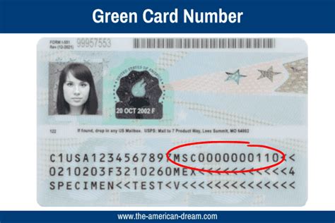 What Is The Green Card Number And Where Can You Find It