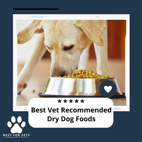 What Is The Most Recommended Dog Food By Vets