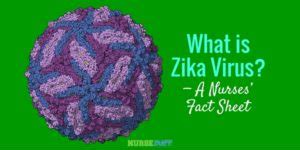 What Is Zika Virus A Nurses Fact Sheet Nursebuff