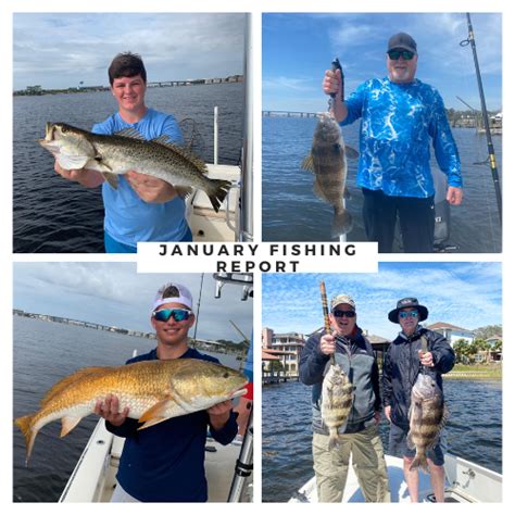 What S Biting In Destin January Panhandle Fishing Charters