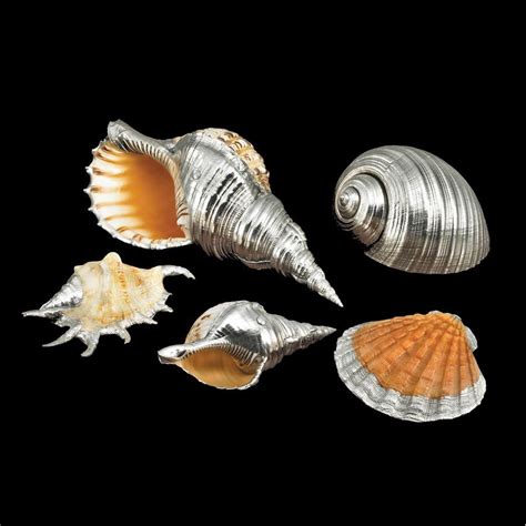 What The Shell Silver Shells