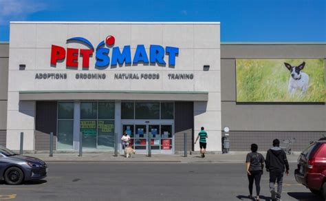 What Time Does Petsmart Close A Comprehensive Guide To Store Closing Hours Petsmartgo