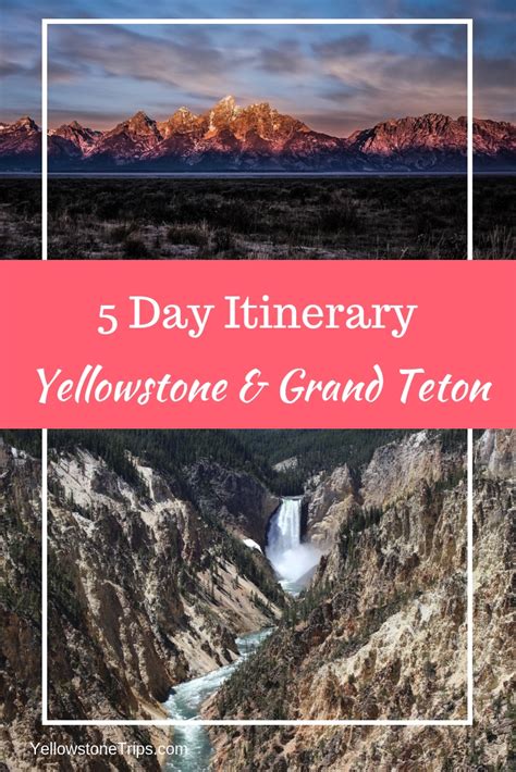 What To See In Yellowstone And Grand Teton In 5 Days Yellowstone Trips