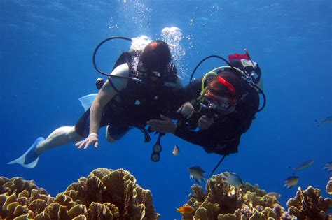 Where To Scuba Dive In North Florida Scuba Diving