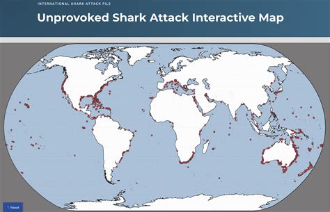 Where You Re Most Likely To Experience A Shark Attack Map