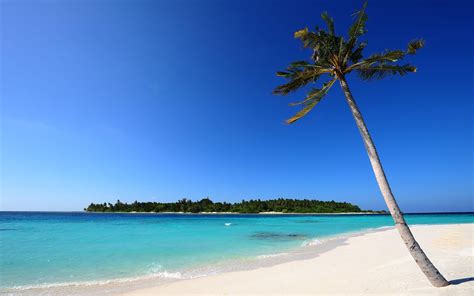 White Sand Beach