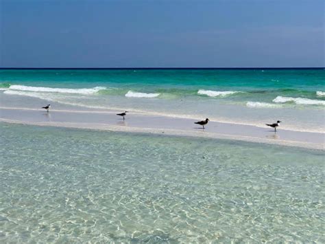 Who Owns Emerald Coast Destinations