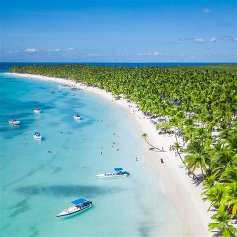 Why Americans Continue To Travel To The Dominican Republic Despite Travel Warnings Dominican