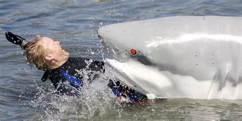 Why Do Sharks Actually Attack Humans Shark Week Discovery