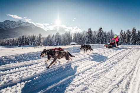 Winter Snow Holidays For Non Skiers