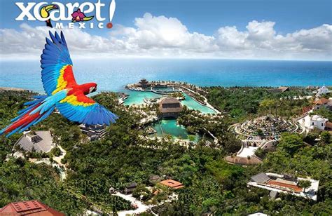 Xcaret Riviera Maya My Experience Tours