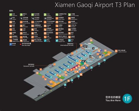 Xiamen Gaoqi Airport Arrival Guides T3 T4 Xmn