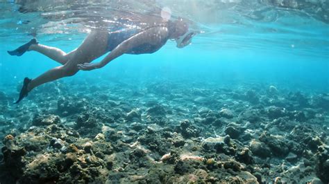 Young Lady Snorkeling Over Coral Reefs In Stock Footage Sbv 328654038