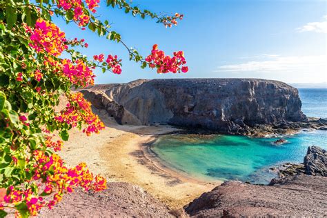 Your Guide To Lanzarote Canary Islands The Points Guy