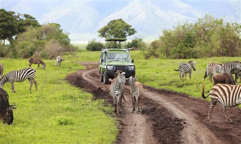 Zara Tours Zara Tanzania Adventures 63 Reviews On Tourradar