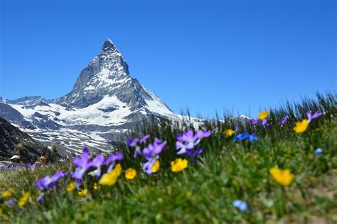 Zermatt Travel Guide From Hating To Falling In Love With The Majestic