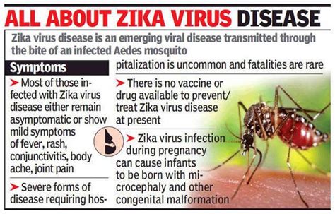 Zika Virus Insights Ias Simplifying Upsc Ias Exam Preparation